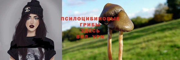 соль ск Аркадак