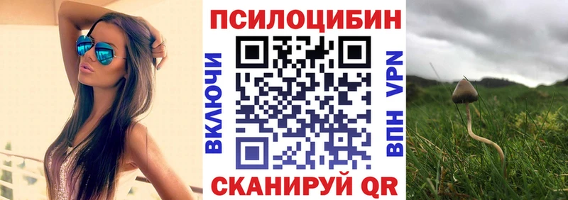 Псилоцибиновые грибы GOLDEN TEACHER цена Новозыбков